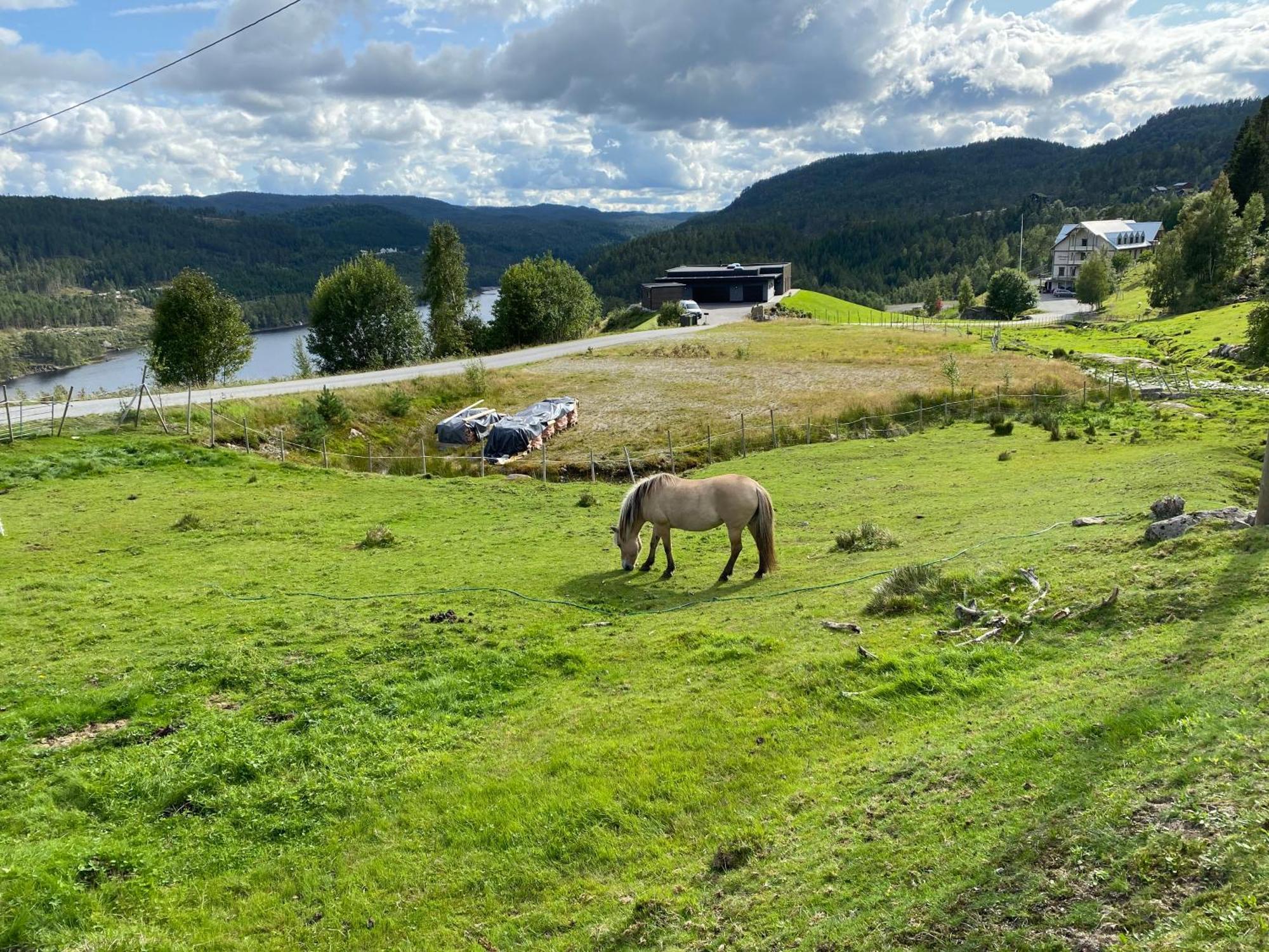 Вилла Hygge Pa Fjellet Oyuvstad Экстерьер фото